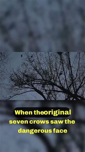 Social Learning Crows Share Their Secrets 🤝