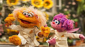Watch Sesame Street Season 48 Episode 32 - Abby and Zoe Love Karate