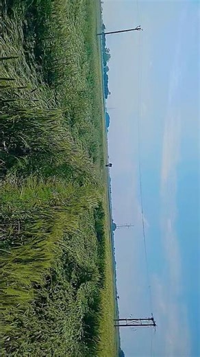 ras bhari bhari lagelu machine neelkamal lyrics video #song 👀😎🙏