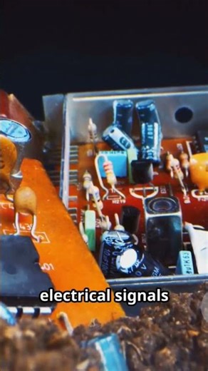 Transistors ❤️ #elctronics #electroniccomponents #experiment