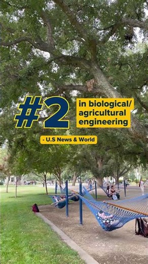 UC Davis is the #2 public university according to Wall Street Journal