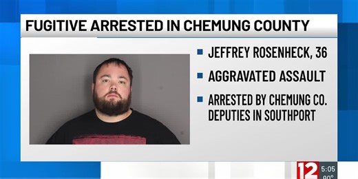 Fugitive from justice awaiting extradition following assault charge