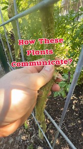 3.8K views · 40 reactions | I think it’s important to get back to...