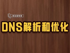 DNS解析和优化【渡一教育】