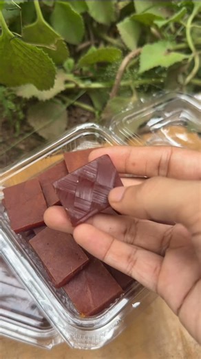 Dileep FoodandTravel on Instagram: "Tasting thati chepa sweet snack at home Telugu #food #foodie #reels"