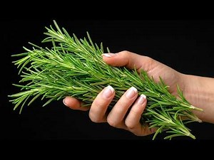 The plant that heals everything! Varicose veins, healthy joints. Powerful nature-based recipes🌿🌿🌿