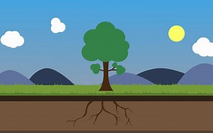 3. 光合作用 - What Is Photosynthesis