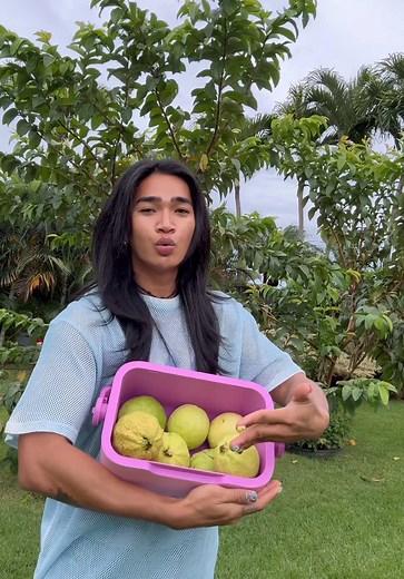 Picking Delicious Guavas in the Morning