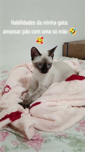 ela tem as habilidades de fazer pão com uma mão só🥰😅😅