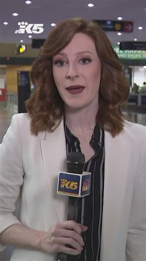 Alaska Airlines restores service after outage