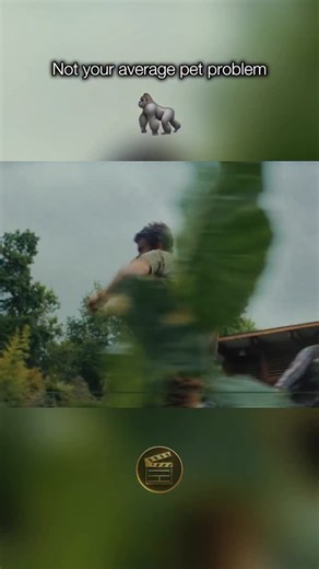 Mid Night Reel Club on Instagram: "🎬 Rampage (2018) 🎭 Genre — Action, Sci-Fi, Adventure ⏳ Runtime — 1h 47m ⭐ Rating — 6.1/10 📌 Overview — When a genetic experiment goes wrong, three animals — a gorilla, a wolf, and a giant crocodile — grow into massive, unstoppable beasts. Davis, a primatologist, teams up with his intelligent gorilla friend George to stop the destruction and uncover the truth behind the experiment. ❤️ Why It’s Loved — Big monsters, big action, and The Rock doing what he does