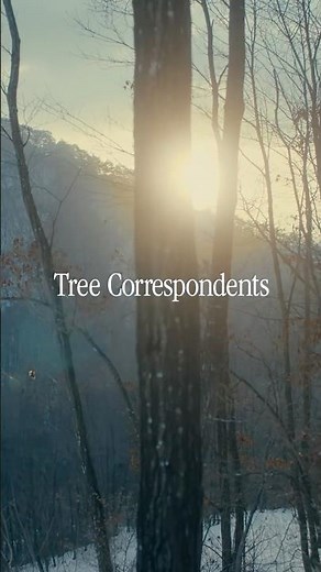 Hyundai IONIQ Forest | Voice of Tree Correspondents