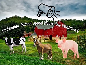10 Popular Farm Animal Sound Effects Pack