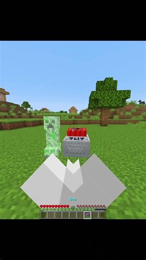 Minecraft Crazy Commands Moment 💀