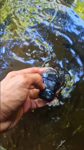 How to revive submerged electronics