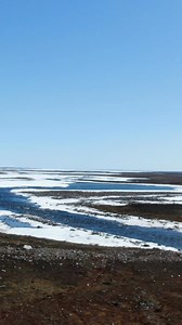 Die Tierwelt von Nunavut gehört zu den außergewöhnlichsten Naturerlebnissen in ganz Kanada. ❄️ Hier begegnet man arktischen Tieren in einer Landschaft, die so wild, still und unberührt ist wie kaum ein anderer Ort auf der Welt. 🇨🇦✨ Ob Polarfüchse, Karibus oder beeindruckende Winterlandschaften – Nunavut zeigt die Natur in ihrer reinsten Form. 💬 Welche Tierart würdet ihr in Nunavut am liebsten beobachten? 📸 Foto: @kakuktinniq_photography #DiscoverNunavut #ArcticWildlife #ExploreCanada #Northe