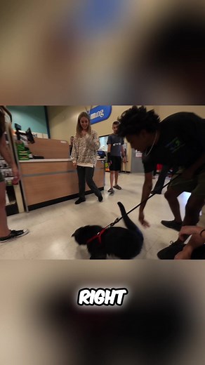 Meet Our Binturong: A Unique Pet Experience at PetSmart