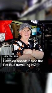 38K views · 493 reactions | Take a look at New Zealand's Pet Bus: Along with dogs and cats, the family-run business has transported poultry, spiders - and even carried an ant farm to an Invercargill school.  Full story at the link below | RNZ | Facebook