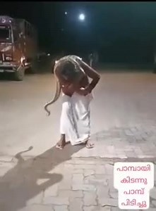 Old Man Strangled to Death by a Python