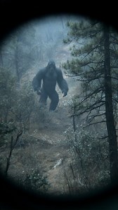 101K views · 3.6K reactions | 11-Foot Bigfoot Caught On Video Walking Through Tennessee Forest #bigfoot #sasquatch #tennessee | Most Amazing Top 10 | Facebook