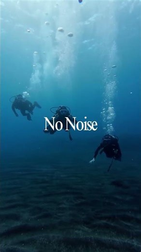 The Future of Speed: Movement Innovations That Will Change Humanity Forever