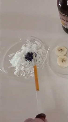 STARCH TEST ON VARIOUS FOOD MATERIALS | FOOD TEST EXPERIMENT | BIOLOGY STD 7-10