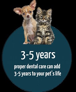 TCAP Clinics | Canine and Feline Dental Cleanings