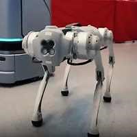 171837298519435.html