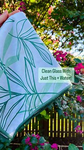 When it comes to cleaning glass surfaces, there’s no better combo than our Window Cloth a little bit of water! Our newest Window Cloth in palm is a chemical-free alternative for achieving streak smudge free glass. How many times does your dog make you clean the glass door? 🤪 We'll go first... EVERY DAY 🐶🤍 | Norwex