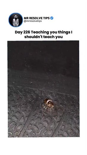 Mr Resolve Tips | - The post shares a 15-second video tutorial demonstrating a quick tire plug repair using a kit to insert, secure, and trim a rubber plug... | Instagram