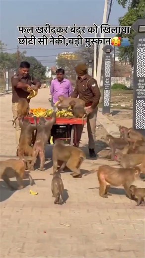 குரங்குகளுக்கு பழம் கொடுத்து கடைக்காரருக்கும் உதவிய போலீஸ் – மனிதம் இன்னும் உயிரோடு 😢🐒❤️ #humanity