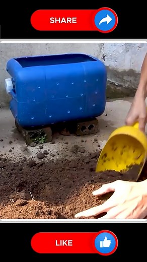 331K views · 2.6K reactions | Long Beans Growing 﫶 | Small Vegetable Garden | Facebook