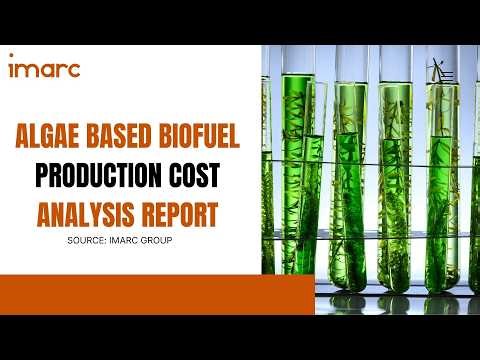 How to Start a Algae Based Biofuel Production Plant: Project Cost Analysis