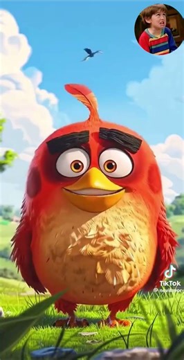dustin Lucas angry birds