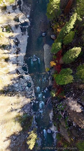 Worth every mile. DM on IG @PNW.Forage.Roam for location. #hotsprings #overlanding #pnwadventure