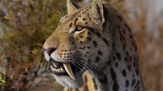 Early Humans S01:E04 - Gigantopithecus: The Largest Ape That Ever Existed