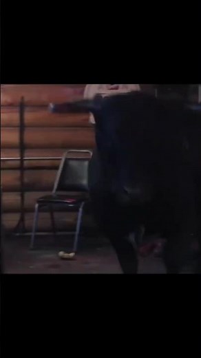 Rip Gets revenge Releasing a Bull in the Bar!!!! Yellowstone best scene
