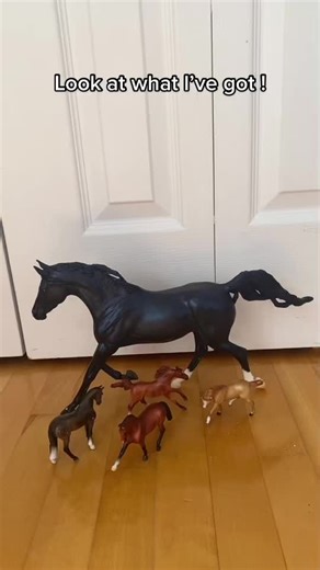 I’m so happy with them ! #breyer #breyerhorse#breyerhorses#traditional#traditionalbreyer#stablemates#stablematesbreyer#Omega#omegafahim #blackstallion#arabian#horse#cheval#haul#breyerhaul#birthday#new#newbreyer