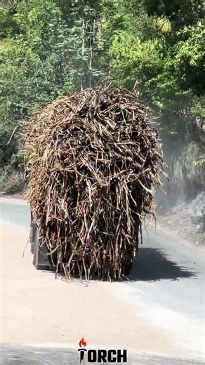 #jamaicaeastsidetruckers