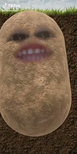 “I AM POTATO” Kid TikTok [OFFICIAL]