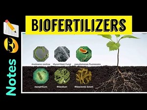 Biofertilizer || Notes 📝