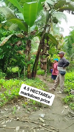 10K views · 126 reactions | Kalubihan flat rolling hinay hay ang AREA Naay SAPA tin aw, 4.5 HECTAREs title New Corella davnor Pm more details 09753576589 #propertyinvestment #highlights | Dongs Oroc | Facebook