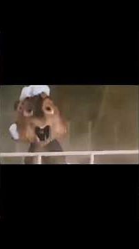 Top 5 Scary Alvin and the Chipmunks #meme