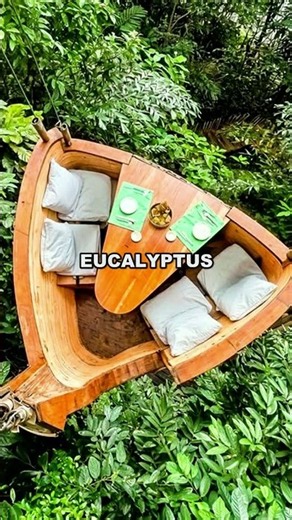 The Canopy Dining At Treepod Restaurant - Amphoe Ko Kut, Thailand