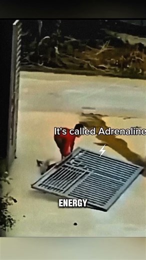 Adrenaline #facts #strength #adrenalinerush #adrenaline #strong #subscribe