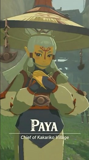 Meeting Paya #tearsofthekingdom #zelda shorts #totk
