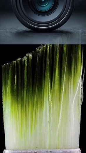 Macro view of a brush #viral #shorts #usa #shortvideo