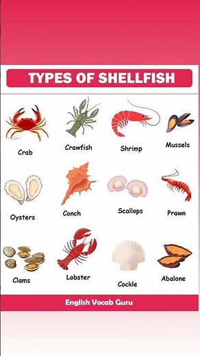Types of shellfish 🦐
