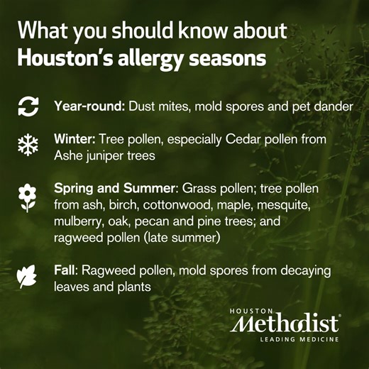 1.7K views | There's a lot to love about living in Houston. With...