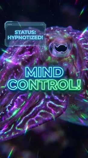 This Player Unlocked the HYPNOSIS Cheat! 😵‍💫🦑